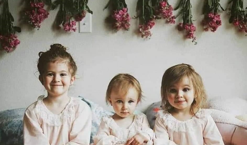 المؤنسات الغاليات.. فرحة البيت ومصدر بهجته