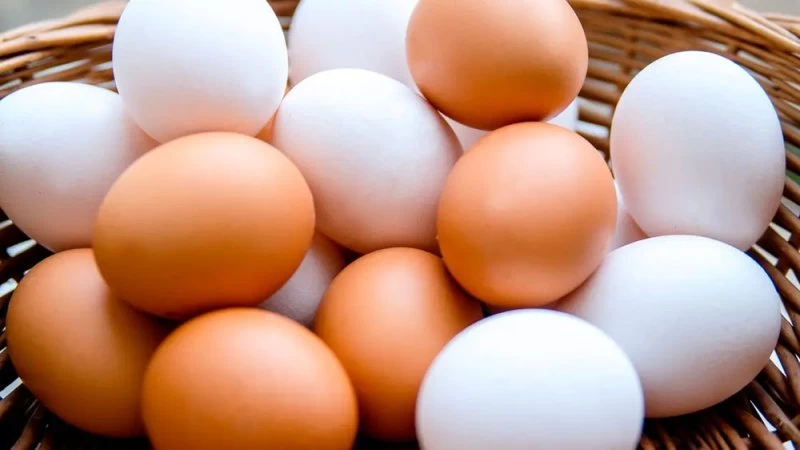 الدجاجة هي السر.. هل يصنع لون البيضة الفرق في الفائدة الغذائية؟