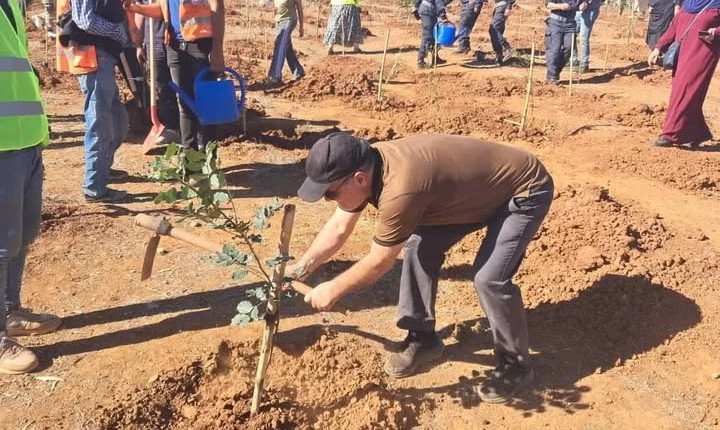 الجزائر تزرع الأمل.. أكثر من 1.3 مليون شجرة في يوم واحد