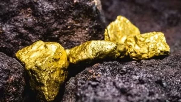 الصدفة تُغيّر حياته.. فرنسي يكتشف ثروة من الذهب أثناء حفر حديقة منزله