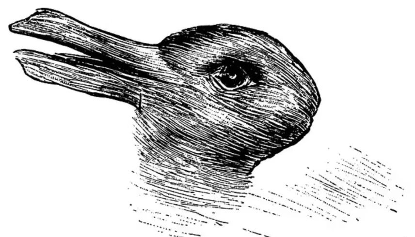 أرنب أم بطة؟.. ما تراه أولاً قد يعكس حالتك النفسية