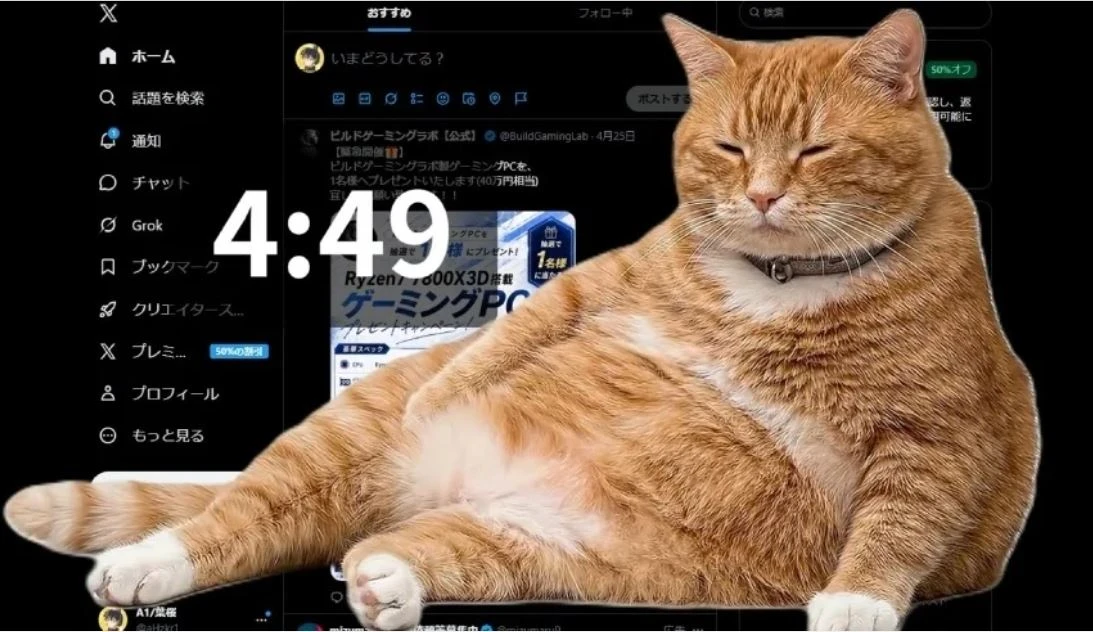 Cat Gatekeeper.. أداة ذكية لتنظيم وقت استخدام السوشيال ميديا