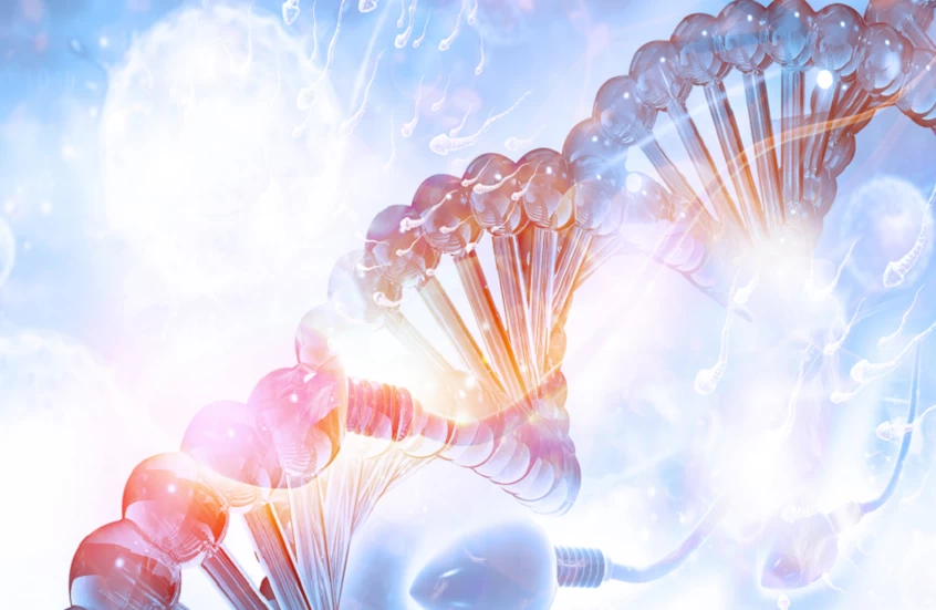 دراسة: الجينات عامل رئيسي في تحديد عمر الإنسان بعيدًا عن العوامل الخارجية