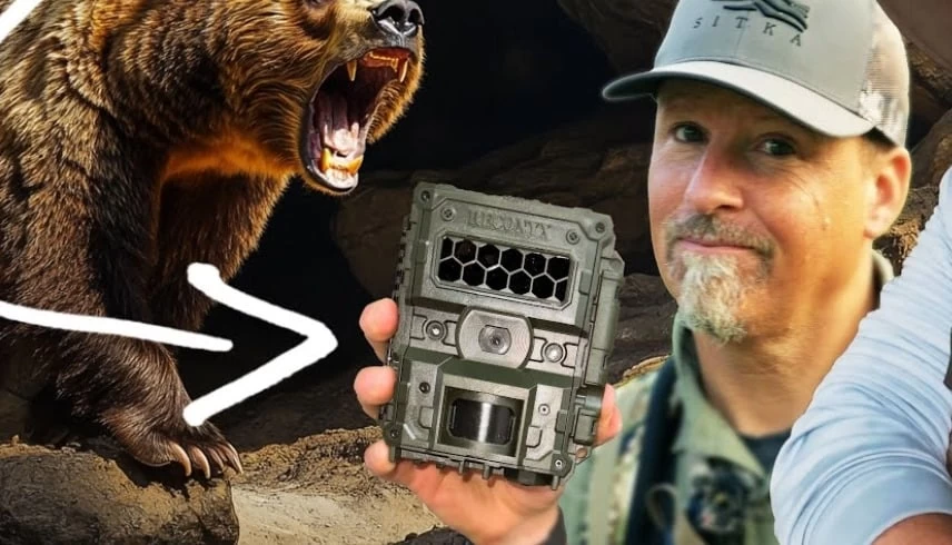 فيديو|| كاميرا ترصد الحياة داخل كهف للدببة في يلوستون على مدار 10 سنوات