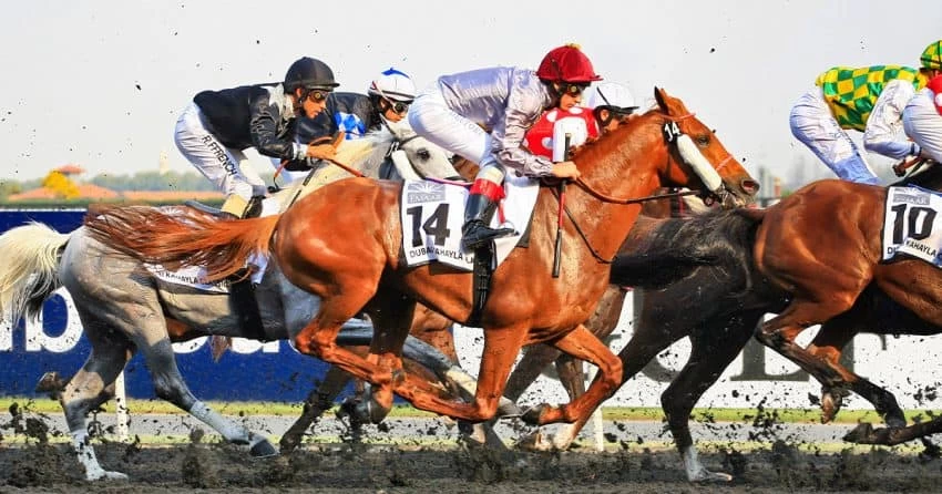 قازان تحتضن أبطال الخيول العربية
