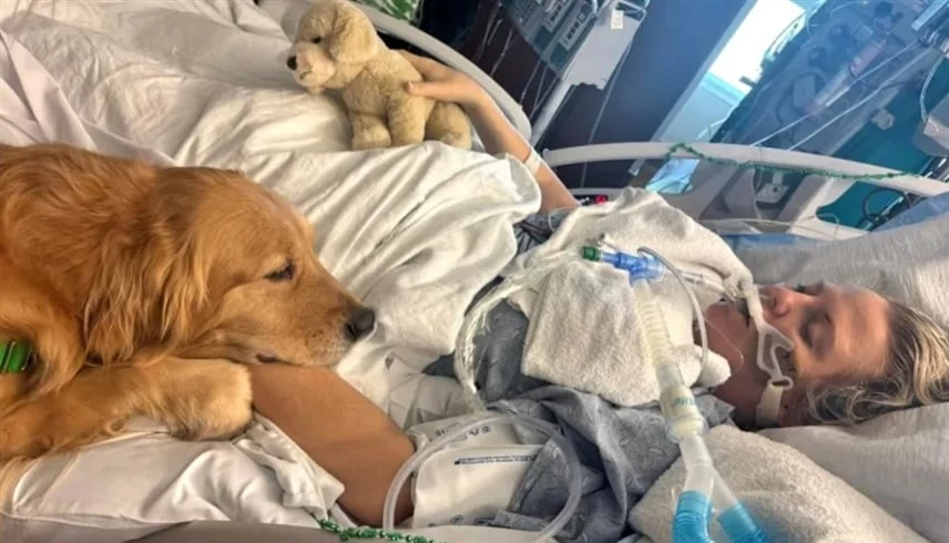 معجزة في فلوريدا.. كلب يساعد في إنقاذ سيدة من غيبوبة استمرت 21 يوماً